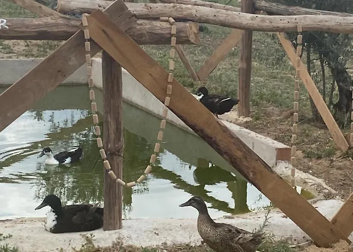 Finca Valdelajara A 20 Minutos De Puy Du Fou